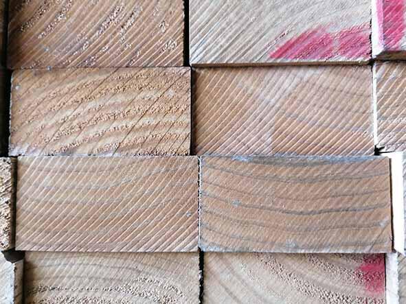 AVIVE ACCOYA